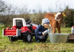 RollyToys Rolly Melkbussen -Beste Speelgoed Winkel rolly toys rolly toys 408894 rolly rollybox melkbussen 4 1