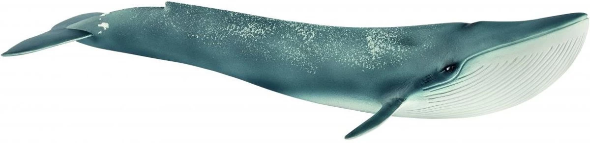 Schleich 14806 Blauwe Walvis WildLife 4 Schleich 14806 Blauwe Walvis WildLife - Afbeelding 2