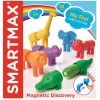 SmartMax SMX220 My First Safari Animals -Beste Speelgoed Winkel smartmax smx 220 my first safari animals